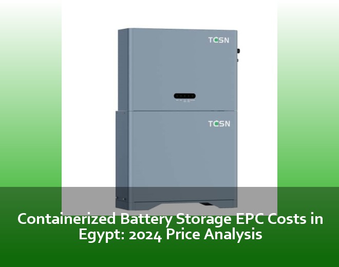 Containerized Battery Storage EPC Costs in Egypt: 2024 Price Analysis